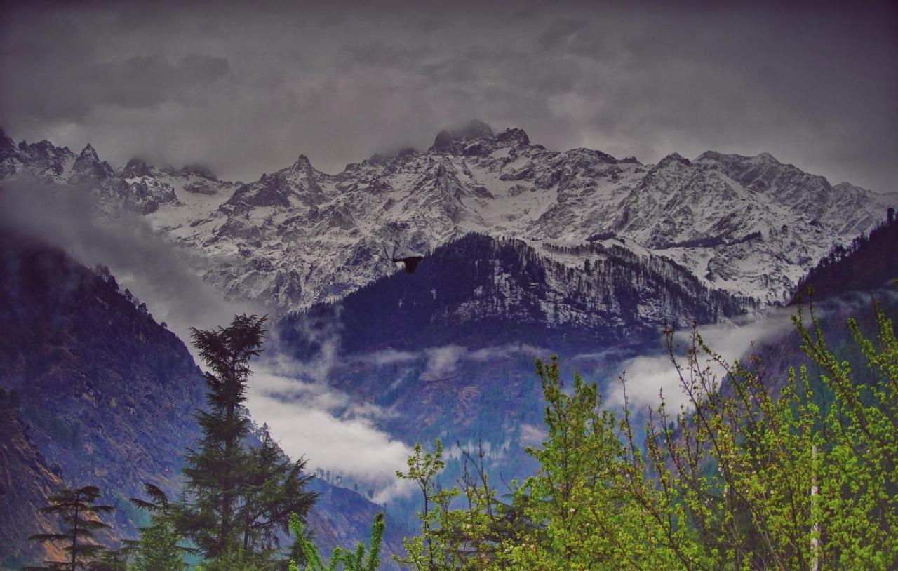 Memoir Homestay Kasol Extérieur photo